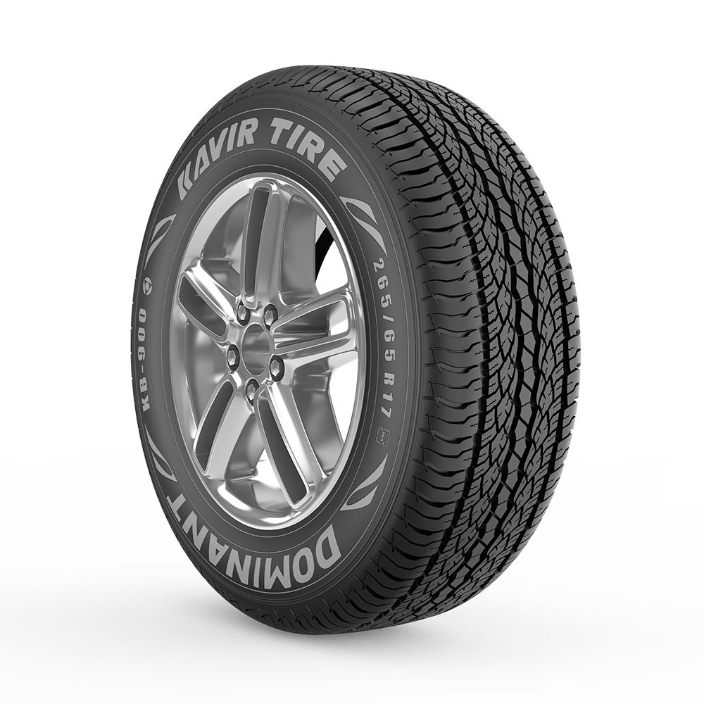 کالکشن تستی